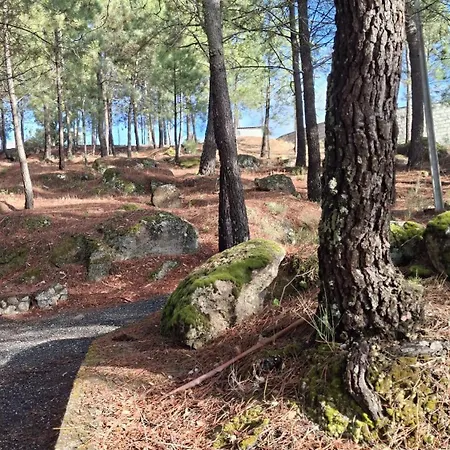 Pérola Da Serra Hébergement de vacances Fundão